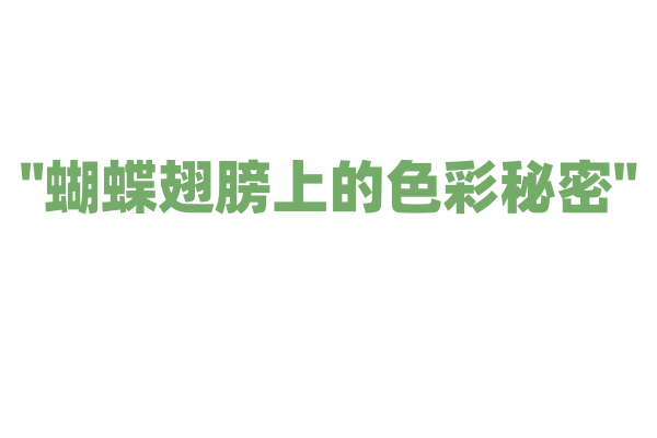 "蝴蝶翅膀上的色彩秘密"